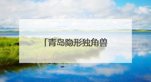 青岛隐形独角兽企业媒体行：揭秘智能家居、芯片技术等创新亮点 共绘科技新篇章