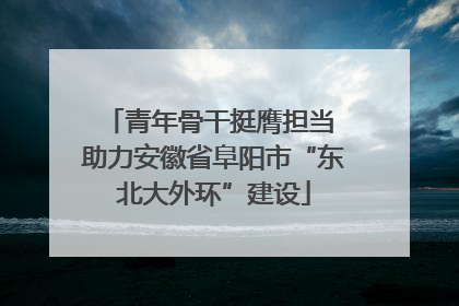 青年骨干挺膺担当 助力安徽省阜阳市“东北大外环”建设