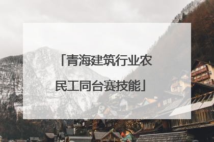 青海建筑行业农民工同台赛技能