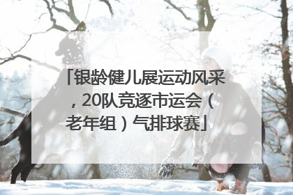 银龄健儿展运动风采，20队竞逐市运会（老年组）气排球赛