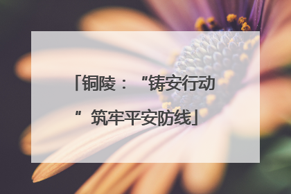 铜陵：“铸安行动”筑牢平安防线