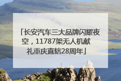 长安汽车三大品牌闪耀夜空，11787架无人机献礼重庆直辖28周年