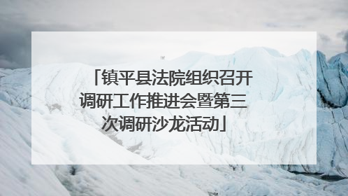 镇平县法院组织召开调研工作推进会暨第三次调研沙龙活动