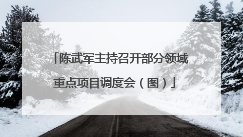 陈武军主持召开部分领域重点项目调度会（图）