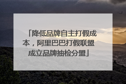 降低品牌自主打假成本，阿里巴巴打假联盟成立品牌抽检分盟