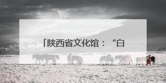 陕西省文化馆：“白+黑”“馆+景”，文化供给向美而聚