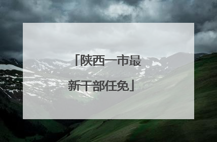 陕西一市最新干部任免