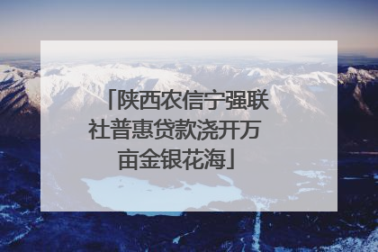 陕西农信宁强联社普惠贷款浇开万亩金银花海