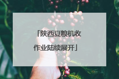 陕西夏粮机收作业陆续展开