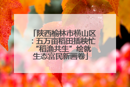 陕西榆林市横山区：五万亩稻田插秧忙 “稻渔共生”绘就生态富民新画卷