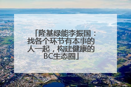 隆基绿能李振国：找各个环节有本事的人一起，构建健康的BC生态圈