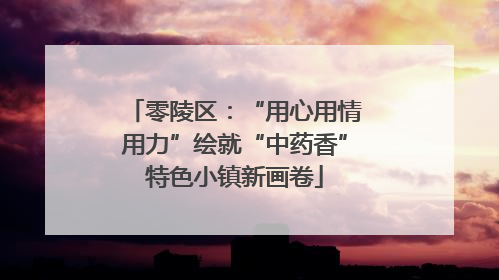 零陵区：“用心用情用力”绘就“中药香”特色小镇新画卷