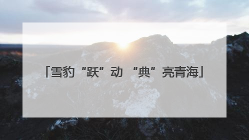 雪豹“跃”动 “典”亮青海