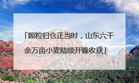颗粒归仓正当时，山东六千余万亩小麦陆续开镰收获