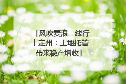风吹麦浪一线行丨定州：土地托管带来稳产增收