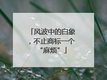 风波中的白象，不止商标一个“麻烦”