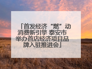 首发经济“燃”动消费新引擎 泰安市举办首店经济项目品牌入驻推进会