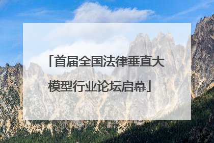 首届全国法律垂直大模型行业论坛启幕