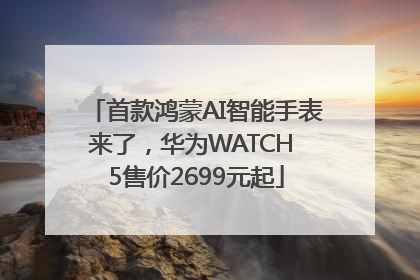 首款鸿蒙AI智能手表来了，华为WATCH 5售价2699元起