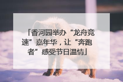 香河园举办“龙舟竞速”嘉年华，让“奔跑者”感受节日温情