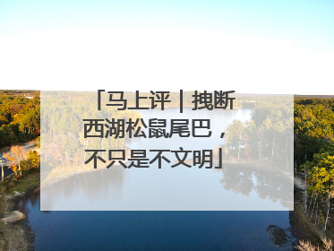 马上评｜拽断西湖松鼠尾巴，不只是不文明