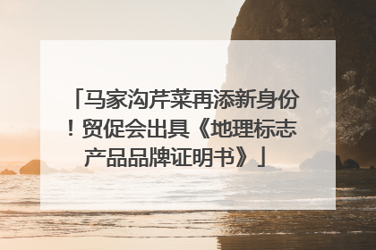 马家沟芹菜再添新身份！贸促会出具《地理标志产品品牌证明书》