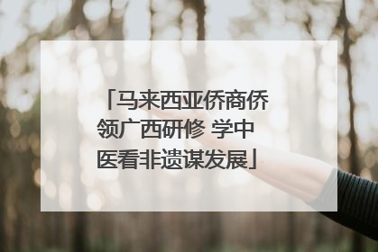 马来西亚侨商侨领广西研修 学中医看非遗谋发展