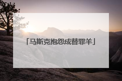 马斯克抱怨成替罪羊