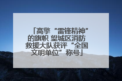 高擎“雷锋精神”的旗帜 望城区消防救援大队获评“全国文明单位”称号