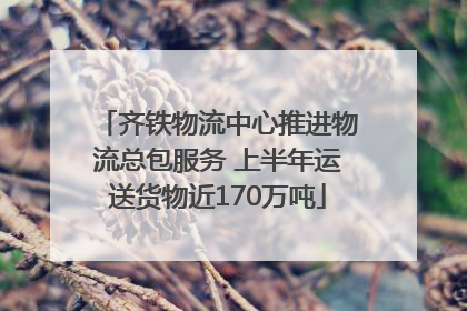 齐铁物流中心推进物流总包服务 上半年运送货物近170万吨