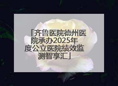 齐鲁医院德州医院承办2025年度公立医院绩效监测智享汇