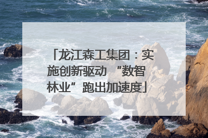 龙江森工集团：实施创新驱动 “数智林业”跑出加速度