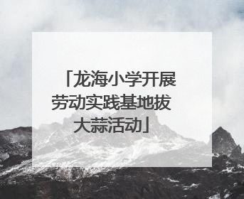 龙海小学开展劳动实践基地拔大蒜活动