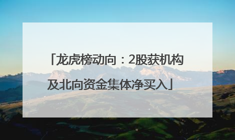 龙虎榜动向：2股获机构及北向资金集体净买入