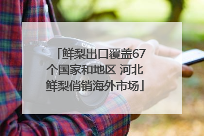 鲜梨出口覆盖67个国家和地区 河北鲜梨俏销海外市场