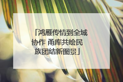 鸿雁传情到全域协作 甬库共绘民族团结新图景