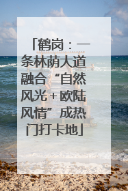 鹤岗：一条林荫大道融合“自然风光＋欧陆风情”成热门打卡地