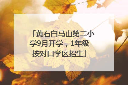 黄石白马山第二小学9月开学，1年级按对口学区招生
