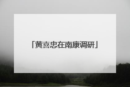 黄喜忠在南康调研