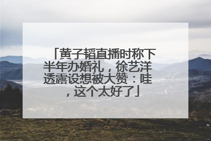黄子韬直播时称下半年办婚礼，徐艺洋透露设想被大赞：哇，这个太好了