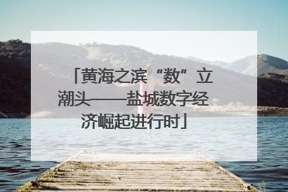 黄海之滨“数”立潮头——盐城数字经济崛起进行时