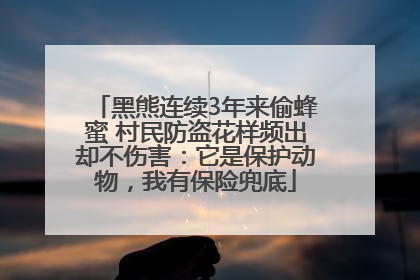 黑熊连续3年来偷蜂蜜 村民防盗花样频出却不伤害：它是保护动物，我有保险兜底