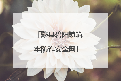 黟县碧阳镇筑牢防诈安全网