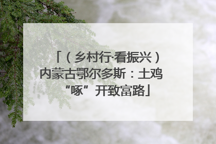 （乡村行·看振兴）内蒙古鄂尔多斯：土鸡“啄”开致富路