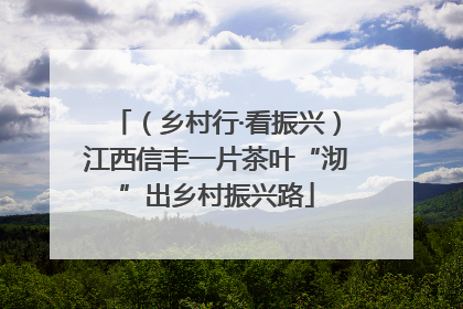 （乡村行·看振兴）江西信丰一片茶叶“沏”出乡村振兴路