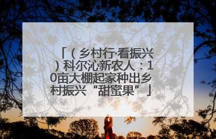 （乡村行·看振兴）科尔沁新农人：10亩大棚起家种出乡村振兴“甜蜜果”