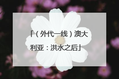（外代一线）澳大利亚：洪水之后