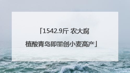 1542.9斤 农大腐植酸青岛即墨创小麦高产