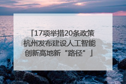 17项举措20条政策 杭州发布建设人工智能创新高地新“路径”