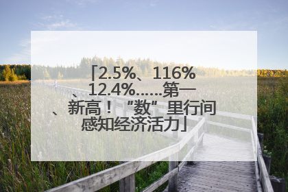 2.5%、116%、12.4%……第一、新高！“数”里行间感知经济活力